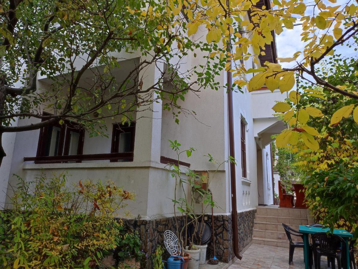 Vila Brazilor Качулата Экстерьер фото