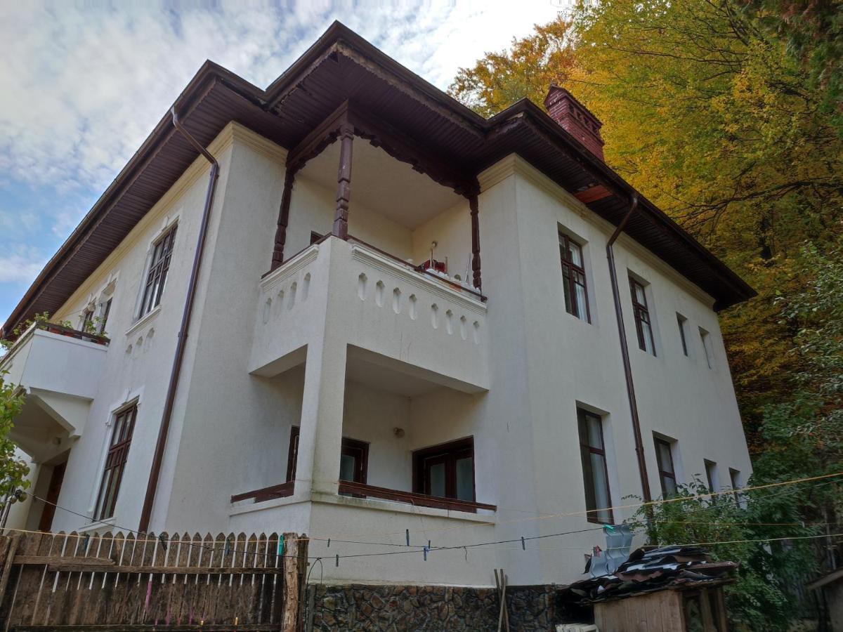 Vila Brazilor Качулата Экстерьер фото