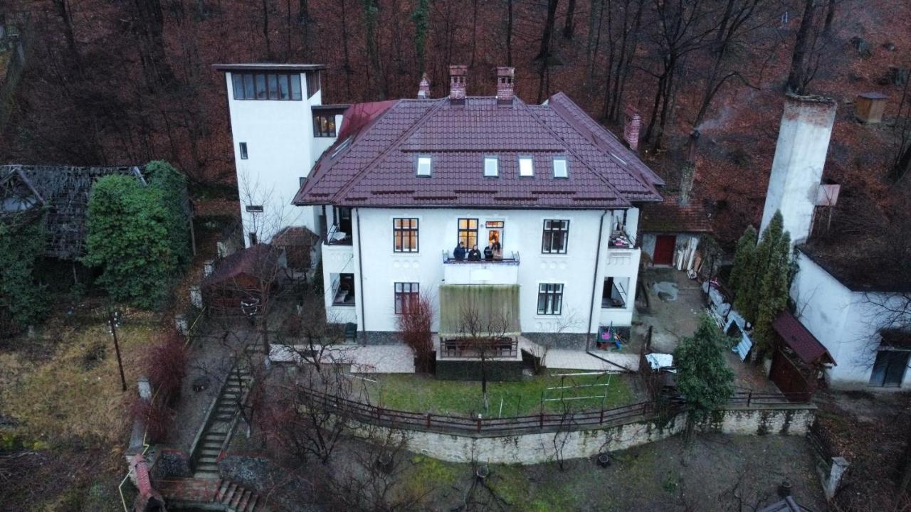 Vila Brazilor Качулата Экстерьер фото